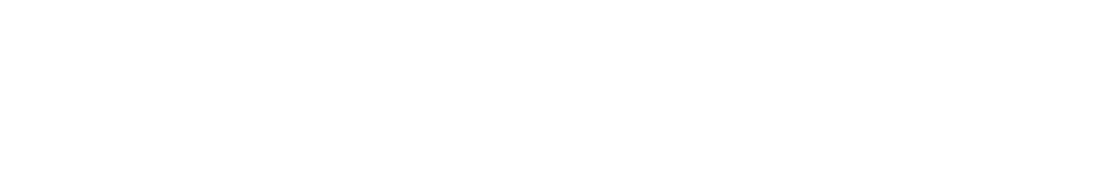 Politecnico di Milano